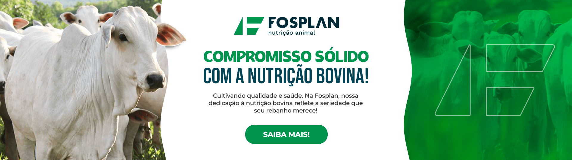 Banner – compromisso nutricao bovina