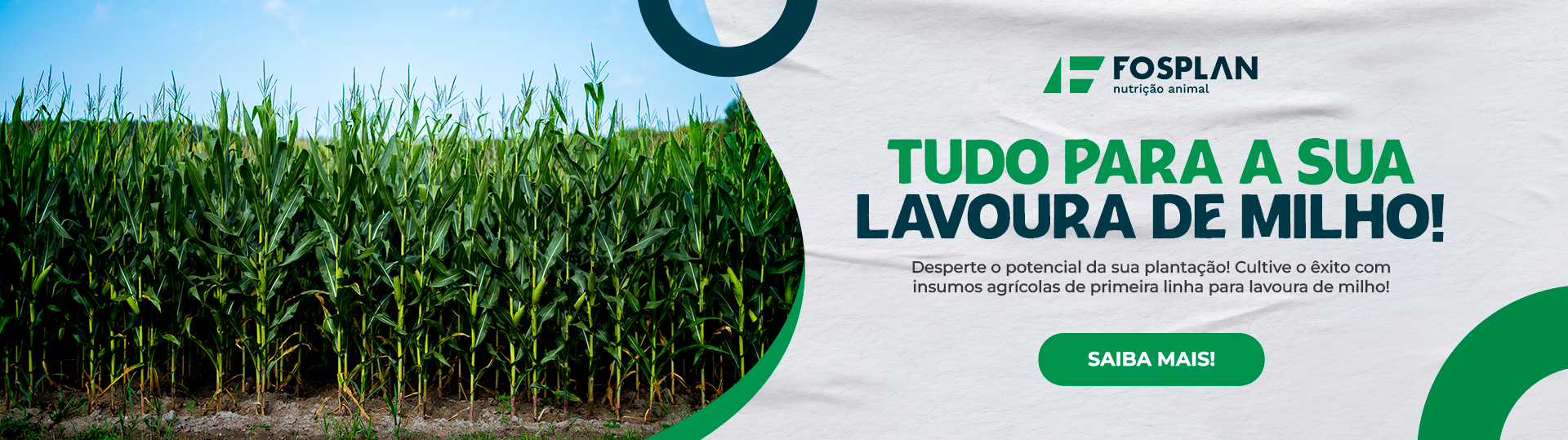 Banner – Lavoura de milho